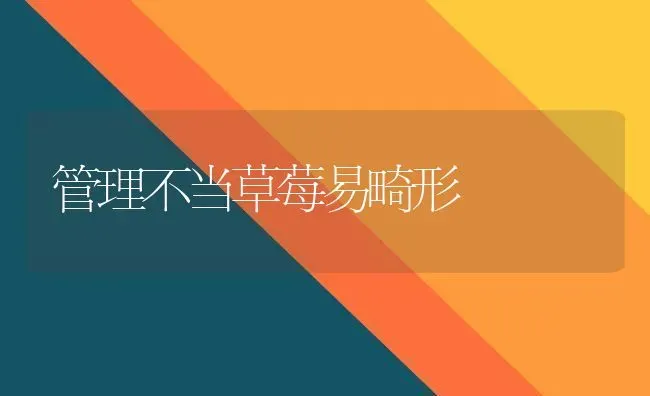 管理不当草莓易畸形 | 瓜果种植