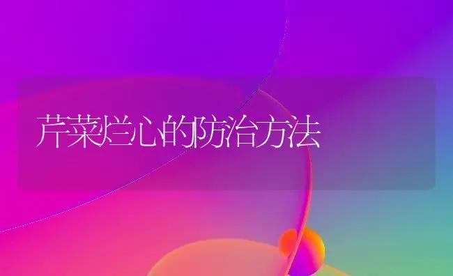 芹菜烂心的防治方法 | 蔬菜种植