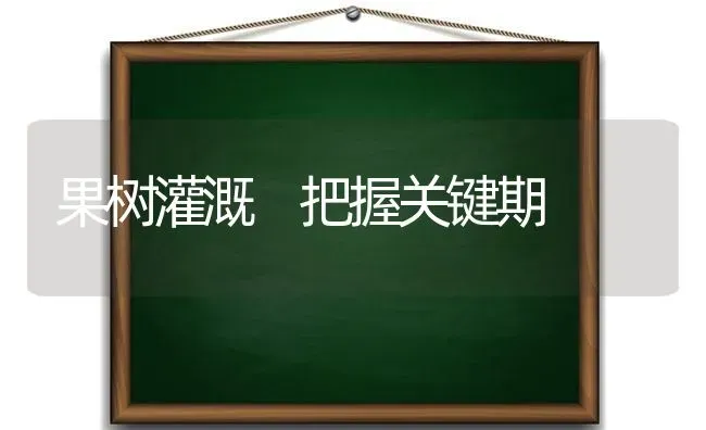 果树灌溉 把握关键期 | 瓜果种植