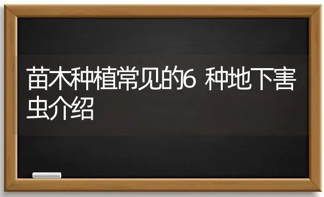 苗木种植常见的6种地下害虫介绍 | 植物种植百科