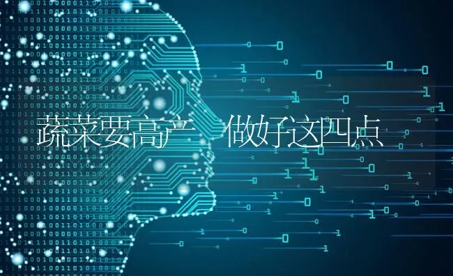 蔬菜要高产 做好这四点 | 蔬菜种植