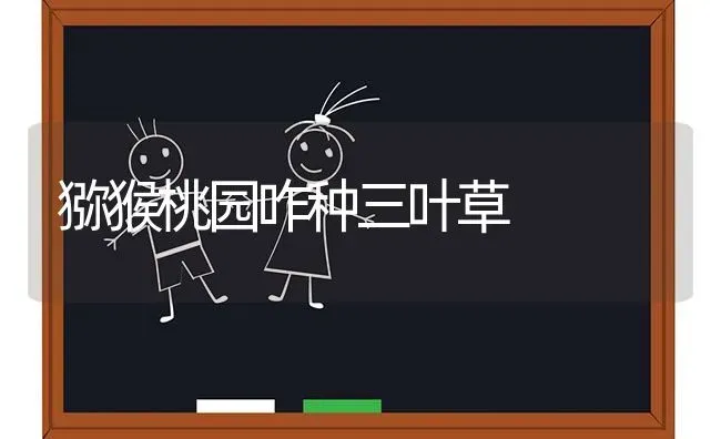 软籽石榴的高产种植技术 | 植物种植百科