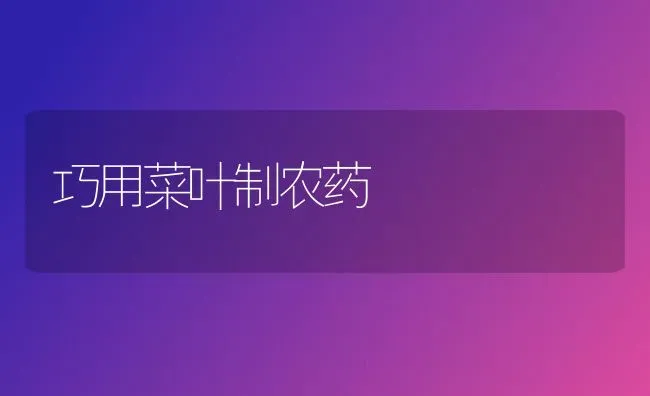 巧用菜叶制农药 | 种植病虫害防治