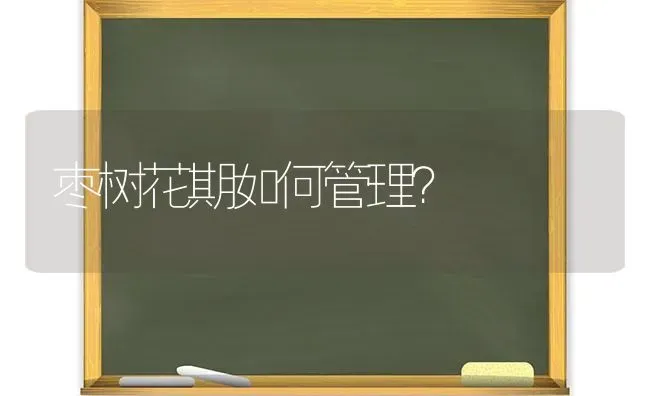 枣树花期如何管理？ | 瓜果种植