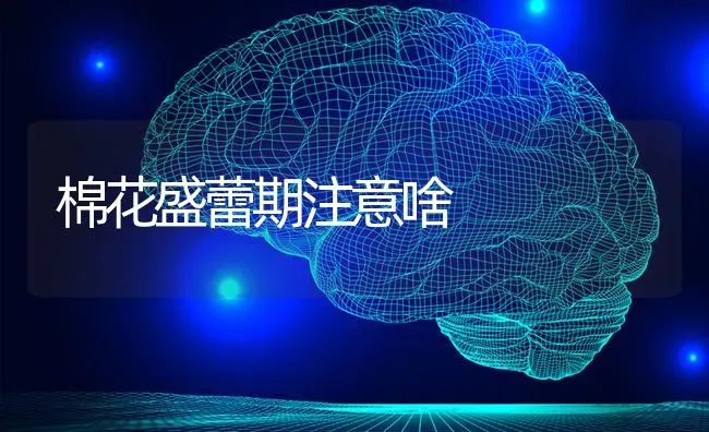 棉花盛蕾期注意啥 | 粮油作物种植