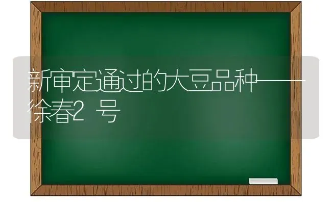 新审定通过的大豆品种——徐春2号 | 粮油作物种植