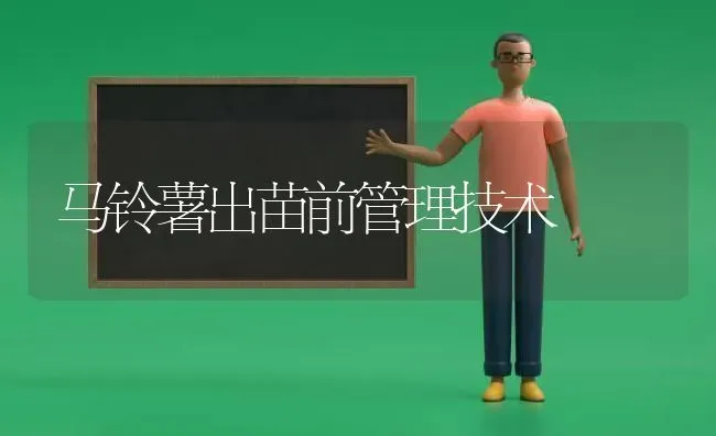 马铃薯出苗前管理技术 | 粮油作物种植