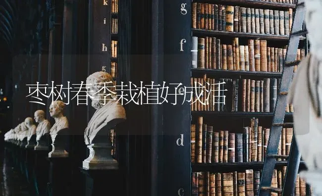 枣树春季栽植好成活 | 瓜果种植