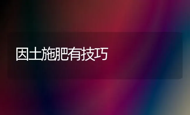 因土施肥有技巧 | 种植肥料施肥