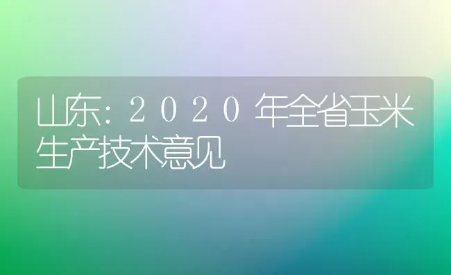 山东：2020年全省玉米生产技术意见 | 粮油作物种植