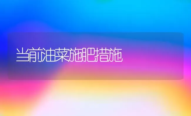 当前油菜施肥措施 | 粮油作物种植