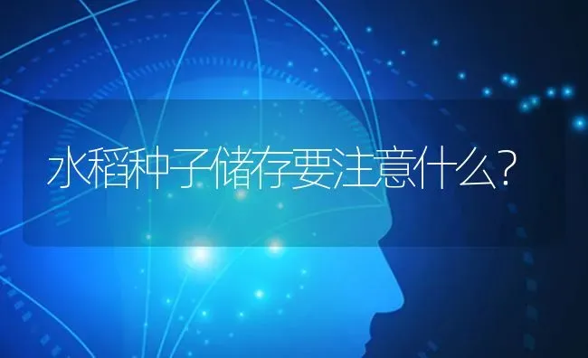 水稻种子储存要注意什么？ | 粮油作物种植