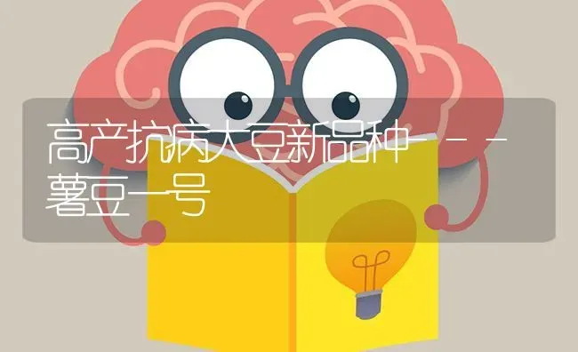 高产抗病大豆新品种---薯豆一号 | 粮油作物种植