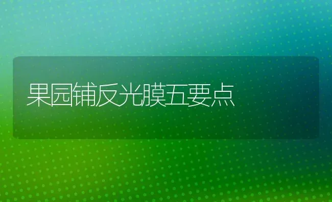 果园铺反光膜五要点 | 瓜果种植
