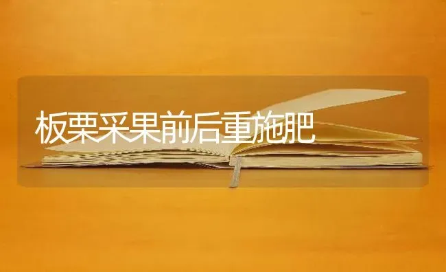 板栗采果前后重施肥 | 瓜果种植