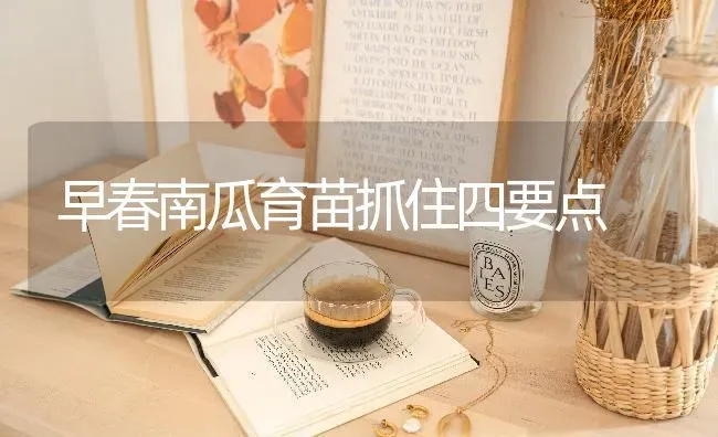 早春南瓜育苗抓住四要点 | 蔬菜种植