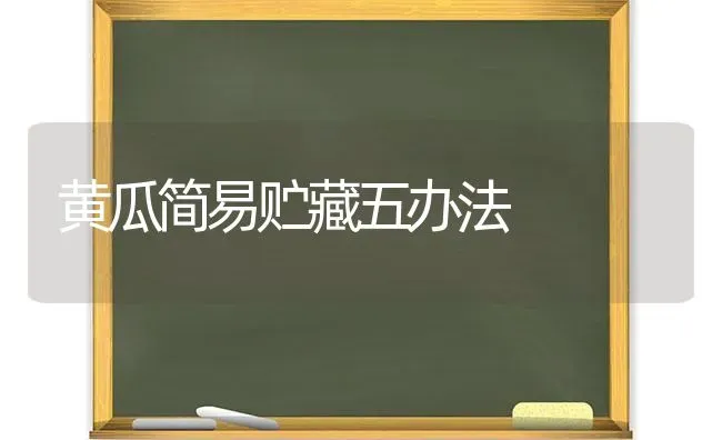 黄瓜简易贮藏五办法 | 蔬菜种植