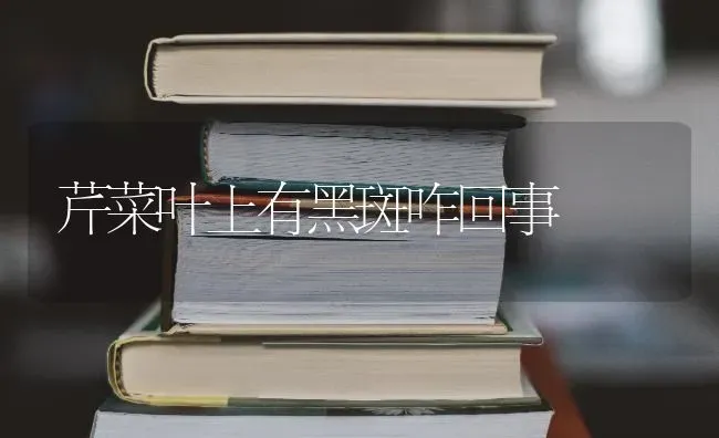 芹菜叶上有黑斑咋回事 | 蔬菜种植