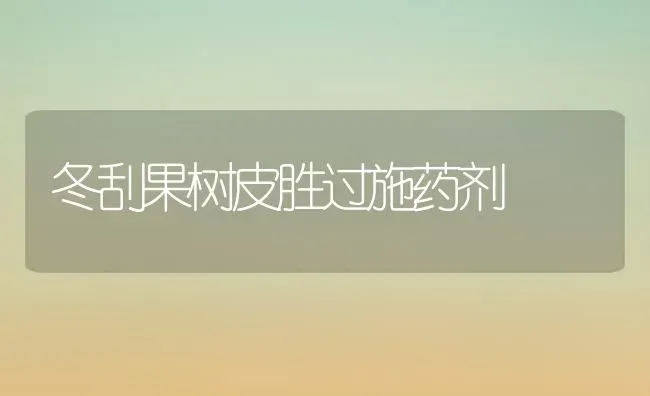 冬刮果树皮胜过施药剂 | 瓜果种植