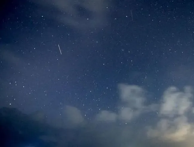 植物百科|2022年首场流星雨来了（第一场象限仪座流星雨预告时间表）