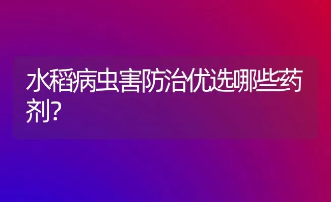 水稻病虫害防治优选哪些药剂？ | 粮油作物种植