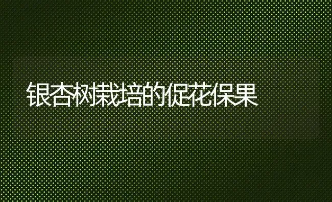 银杏树栽培的促花保果 | 瓜果种植