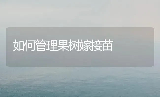 如何管理果树嫁接苗 | 瓜果种植