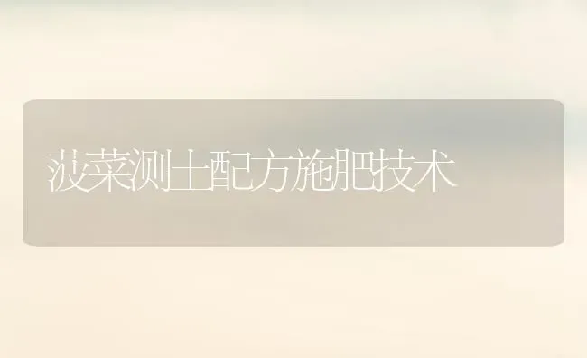菠菜测土配方施肥技术 | 种植肥料施肥