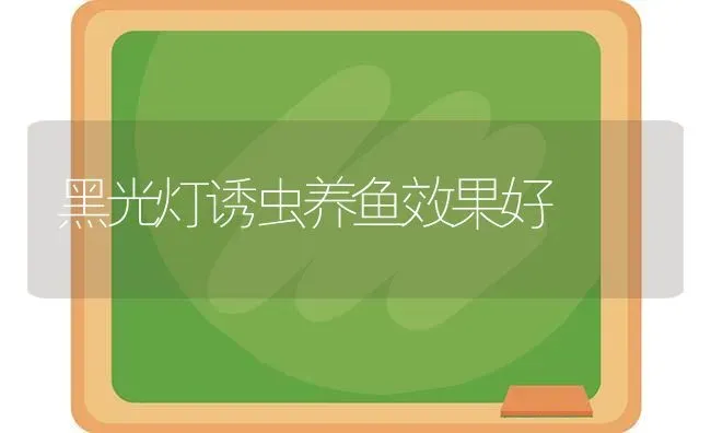 黑光灯诱虫养鱼效果好 | 瓜果种植