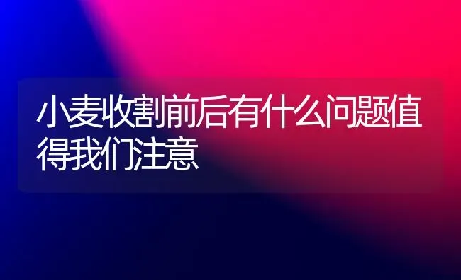 小麦收割前后有什么问题值得我们注意 | 粮油作物种植