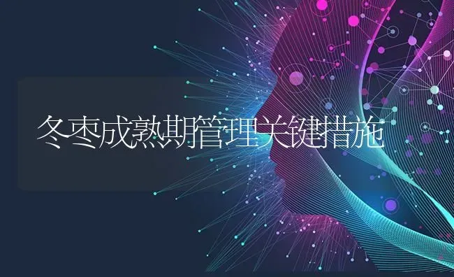 冬枣成熟期管理关键措施 | 瓜果种植