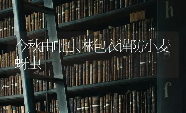 今秋由吡虫啉包衣谨防小麦蚜虫 | 粮油作物种植