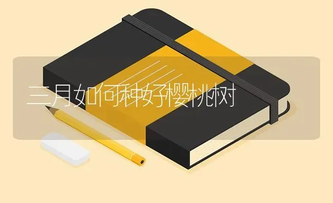 三月如何种好樱桃树 | 瓜果种植