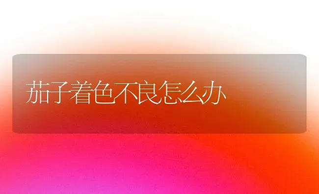 茄子着色不良怎么办 | 蔬菜种植