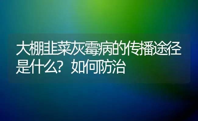 大棚韭菜灰霉病的传播途径是什么?如何防治 | 蔬菜种植