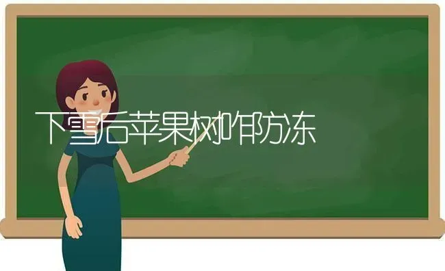 下雪后苹果树咋防冻 | 瓜果种植