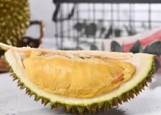植物排行|榴莲什么品种最好