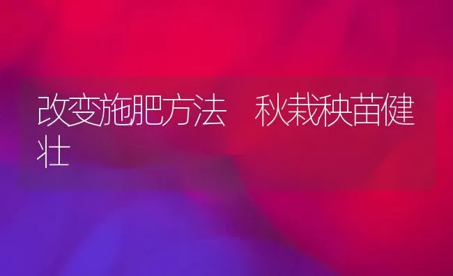 改变施肥方法 秋栽秧苗健壮 | 种植肥料施肥