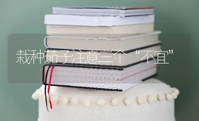 栽种茄子注意三个“不宜” | 蔬菜种植