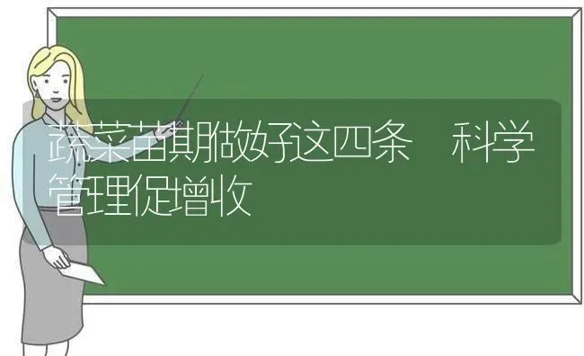 蔬菜苗期做好这四条 科学管理促增收 | 蔬菜种植