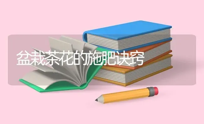 盆栽茶花的施肥诀窍 | 瓜果种植