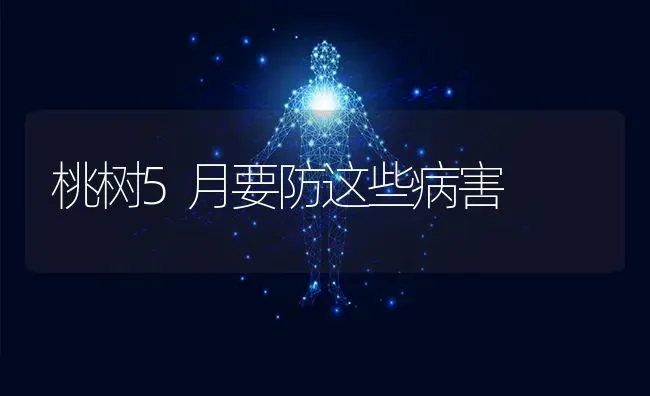 桃树5月要防这些病害 | 瓜果种植