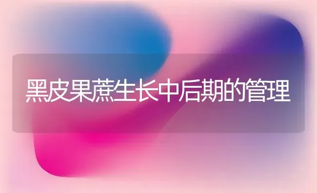 黑皮果蔗生长中后期的管理 | 瓜果种植