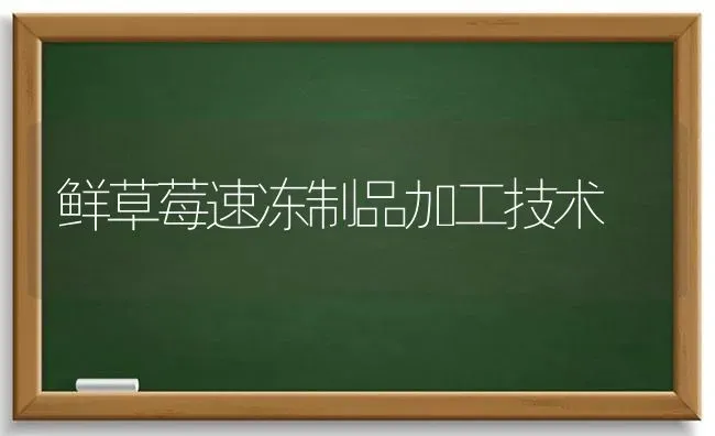 鲜草莓速冻制品加工技术 | 瓜果种植