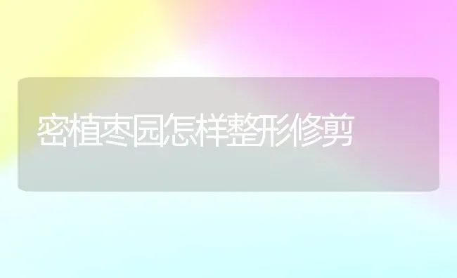 密植枣园怎样整形修剪 | 瓜果种植