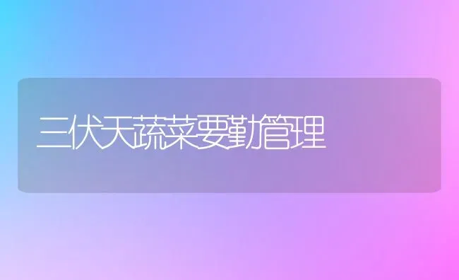 三伏天蔬菜要勤管理 | 蔬菜种植