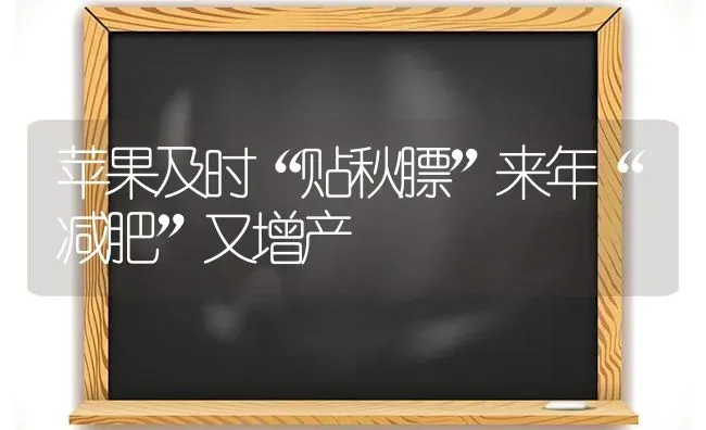 苹果及时“贴秋膘”来年“减肥”又增产 | 瓜果种植