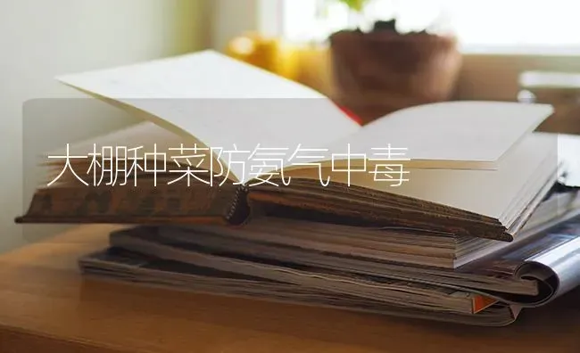 大棚种菜防氨气中毒 | 蔬菜种植
