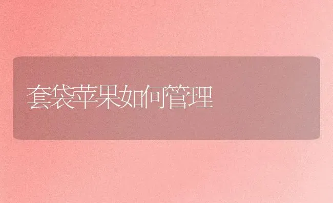 套袋苹果如何管理 | 瓜果种植