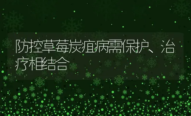 防控草莓炭疽病需保护、治疗相结合 | 瓜果种植